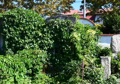 Teplice, Omnium, 2020