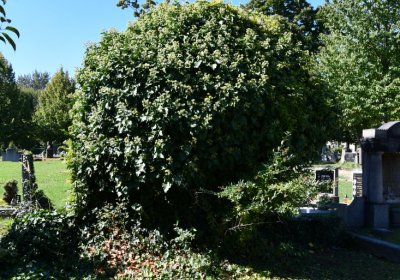 Teplice, Omnium, 2020