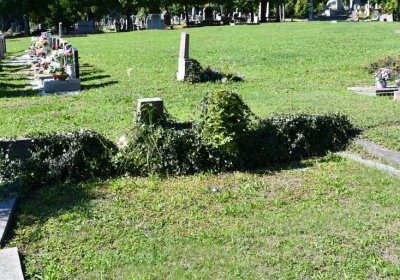 Teplice, Omnium, 2020