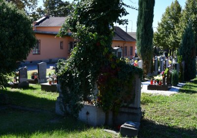 Teplice, Omnium, 2020