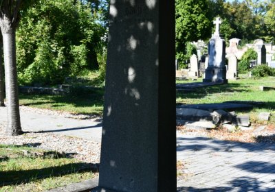 Teplice, Omnium, 2020