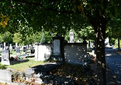 Teplice, Omnium, 2020