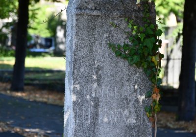 Teplice, Omnium, 2020