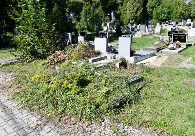 Teplice, Omnium, 2020