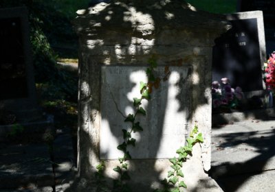 Teplice, Omnium, 2020