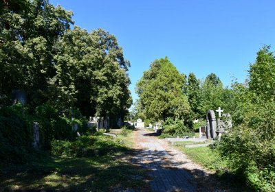 Teplice, Omnium, 2020