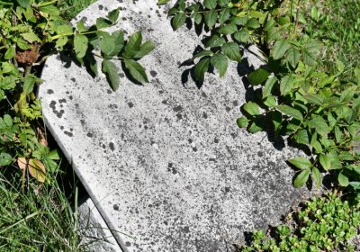 Teplice, Omnium, 2020