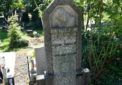 Teplice, Omnium, 2020