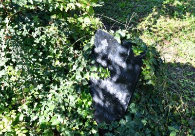 Teplice, Omnium, 2020