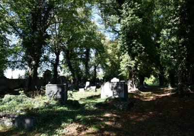 Teplice, Omnium, 2020