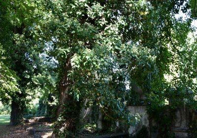 Teplice, Omnium, 2020