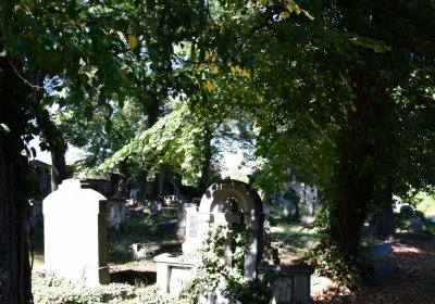 Teplice, Omnium, 2020