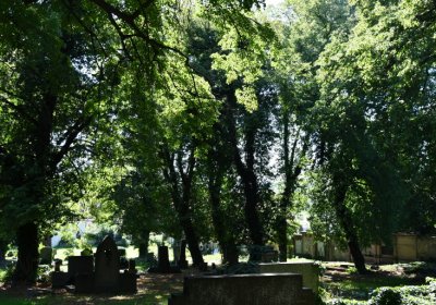 Teplice, Omnium, 2020