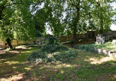 Teplice, Omnium, 2020