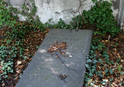 Teplice, Omnium, 2020