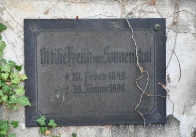 Teplice, Omnium, 2020