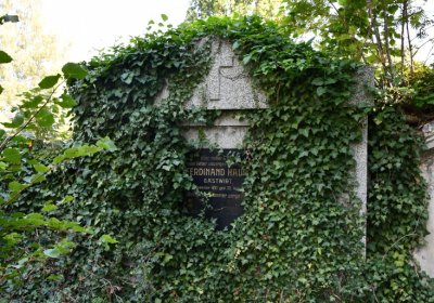 Teplice, Omnium, 2020