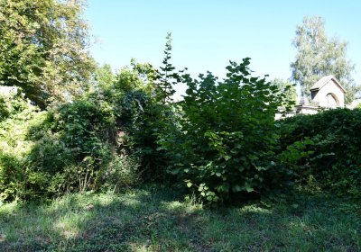 Teplice, Omnium, 2020