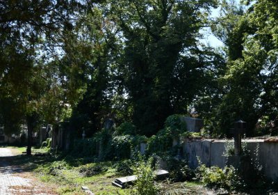 Teplice, Omnium, 2020