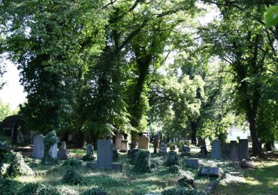 Teplice, Omnium, 2020