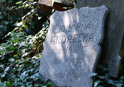 Teplice, Omnium, 2020