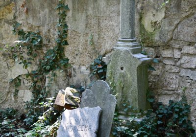 Teplice, Omnium, 2020