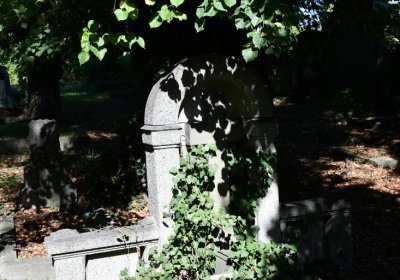 Teplice, Omnium, 2020