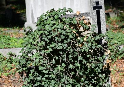 Teplice, Omnium, 2020