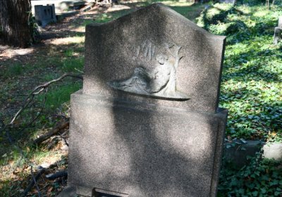 Teplice, Omnium, 2020