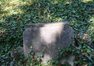 Teplice, Omnium, 2020