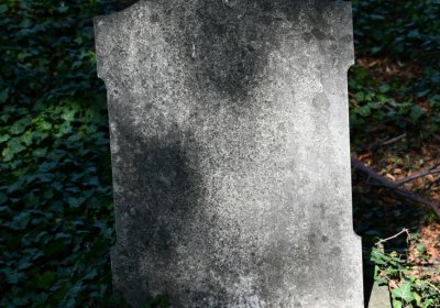 Teplice, Omnium, 2020