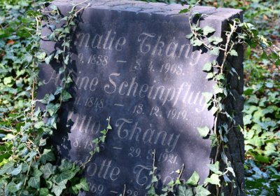 Teplice, Omnium, 2020