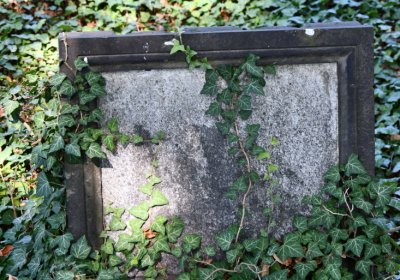 Teplice, Omnium, 2020