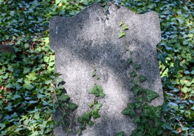 Teplice, Omnium, 2020