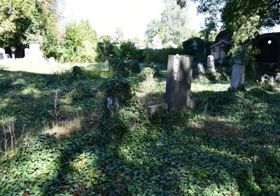 Teplice, Omnium, 2020