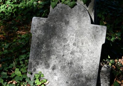 Teplice, Omnium, 2020