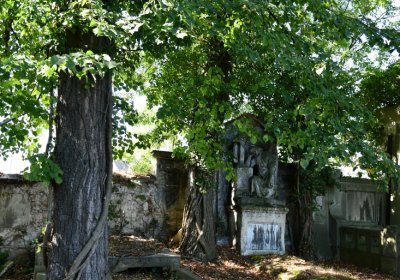 Teplice, Omnium, 2020