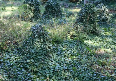 Teplice, Omnium, 2020