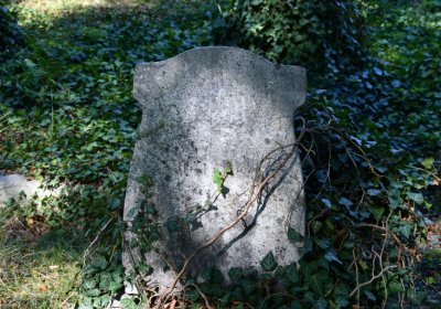 Teplice, Omnium, 2020