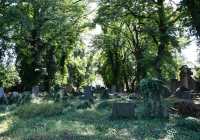 Teplice, Omnium, 2020