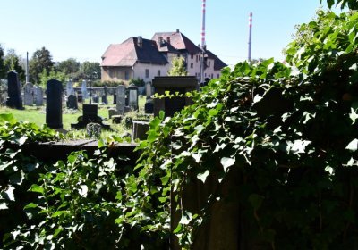 Teplice, Omnium, 2020