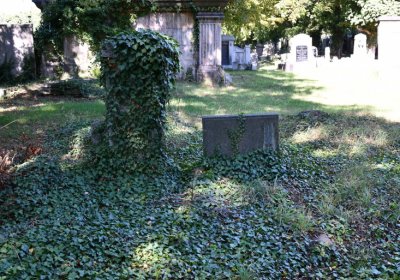 Teplice, Omnium, 2020