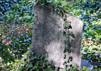 Teplice, Omnium, 2020