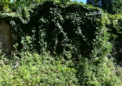 Teplice, Omnium, 2020