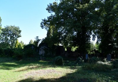 Teplice, Omnium, 2020