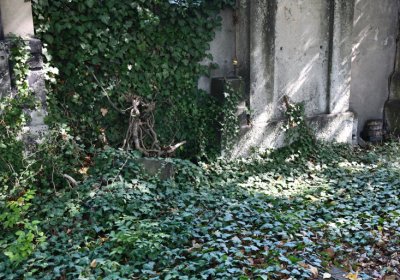 Teplice, Omnium, 2020