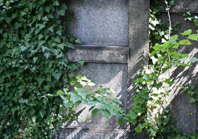 Teplice, Omnium, 2020