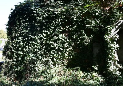 Teplice, Omnium, 2020