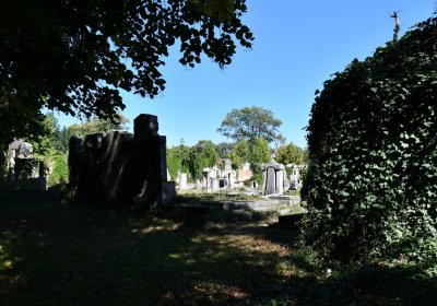 Teplice, Omnium, 2020