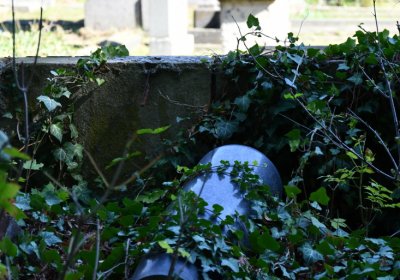 Teplice, Omnium, 2020